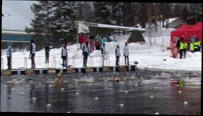 Чемпионат мира 2014. Финал 25 м брасс, Ю. Арламенкова, Д. Сумкина, В. Михайлова, Д. Морозова 