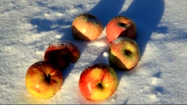 Антоновские яблоки на снегу скачать бесплатно, mp3 Муром... 