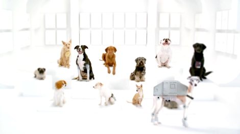 Собаки пролаяли Имперский марш из Зведных войн в рекламе VW