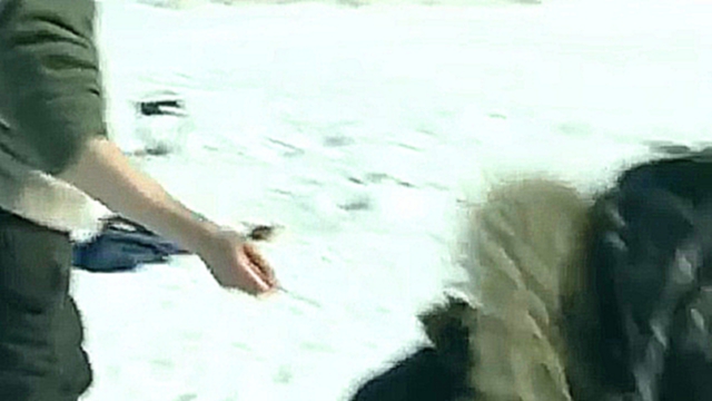 Ловля окуня зимой в протоке-Изготовление «лягушки» для ловли щуки в траве видео «Клюёт.Порыбачим»