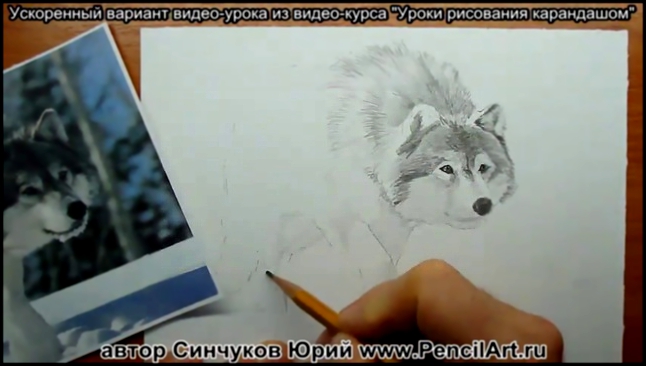 Уроки рисования карандашом Юрий Синчуков