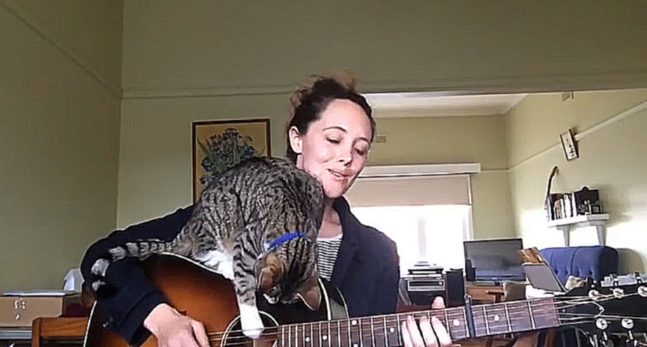 Кот мешает играть на гитаре
