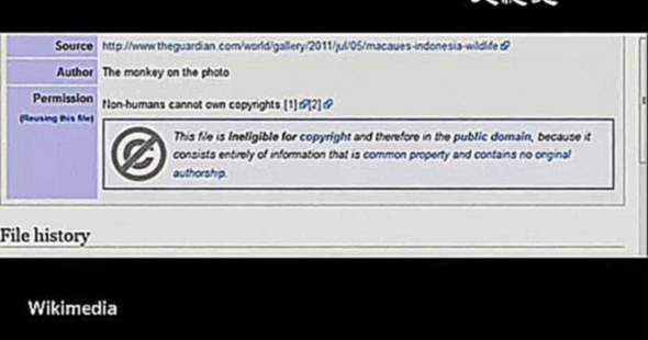 Фотограф будет судиться с Википедией из-за селфи, сделанного макакой
