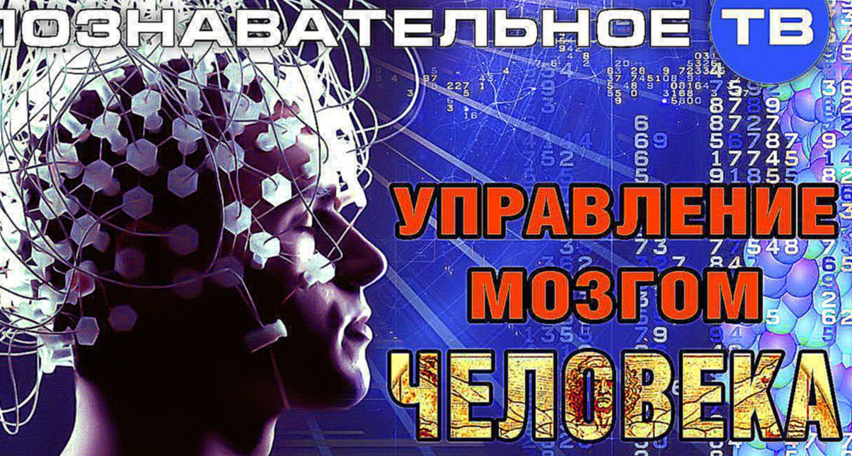 Управление мозгом человека (Познавательное ТВ, Сергей Савельев) 