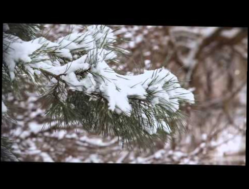 Песенка про зиму - Уральские пельмени 