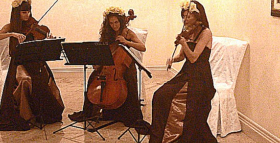 ZAZ - je veux (струнное трио Violin Group DOLLS, скрипки и виолончель, свадьба)  