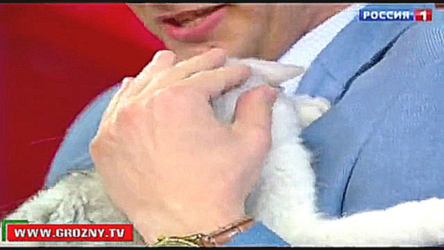 Ведущий передачи "Прямой эфир" подарил дочери Рамзана Кадырова британского котенка