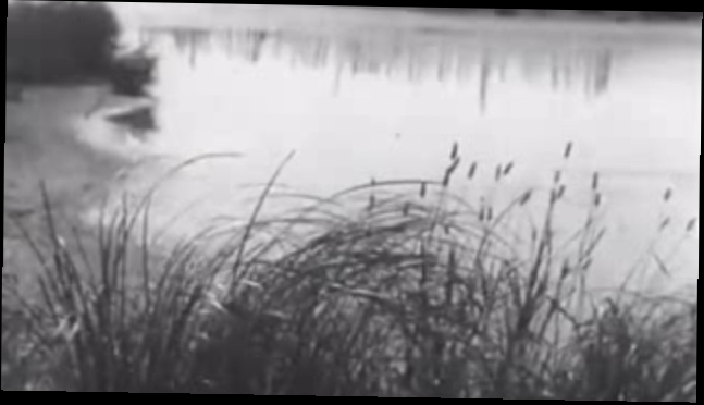 В краю лесной сказки (документальный фильм, 1967 год.) 