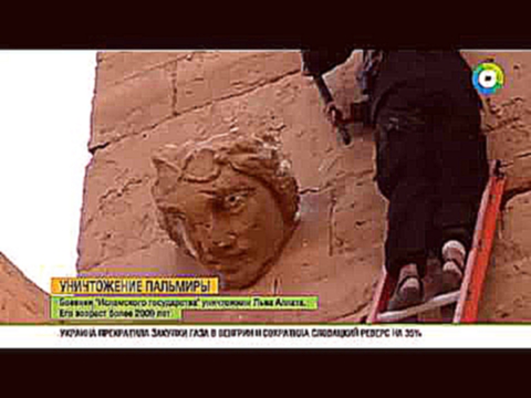 Уничтожение Пальмиры: боевики разгромили статую «Лев Аллат»
