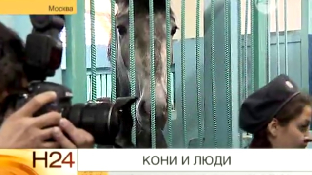12:30 - Новости 24 Рен ТВ 2014