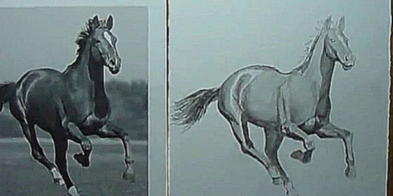 Как нарисовать лошадь с эффектом объема 