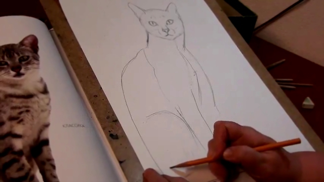 Как нарисовать кошку. Часть2