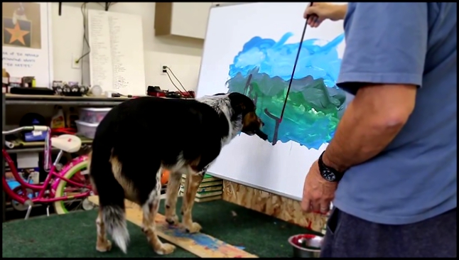 Пёс нарисовал картину