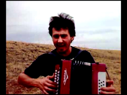 Игорь Растеряев. Ромашки - Camomiles. Russian accordeon. 
