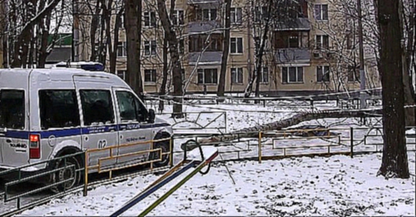 Трагедия на востоке Москвы: обледенелое дерево рухнуло на прохожих