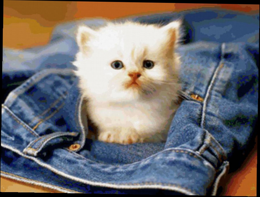 Котёнок в кармане джинсов, предпросмотр