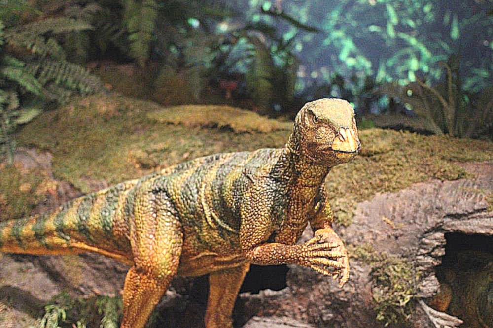 Выставка динозавров открылась в парке Химок