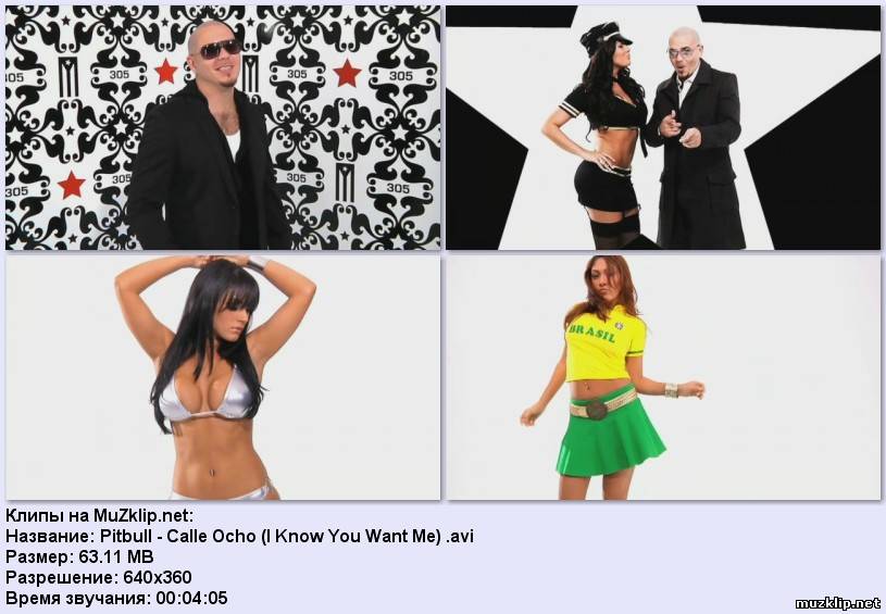 Pitbull - I Know You Want Me (Calle Ocho) 2009